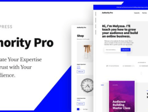 Authority Pro Theme 1.5.1