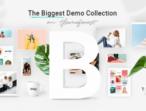Bridge | Creative Multi-Purpose WordPress Theme 29.5