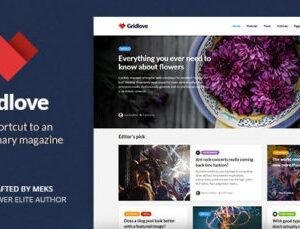 Gridlove – Creative Grid Style News & Magazine WordPress Theme 2.1.1