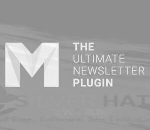 Mailster – Email Newsletter Plugin 3.3.2