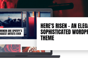 MyThemeShop Risen WordPress Theme 1.1.3