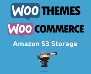 WooCommerce Amazon S3 Storage 2.5.1