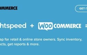 WooCommerce Lightspeed POS 2.12.1