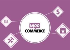 Woocommerce Mixpanel 1.17.0