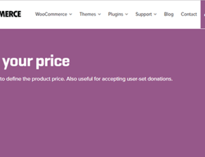 WooCommerce Name Your Price 3.5.2