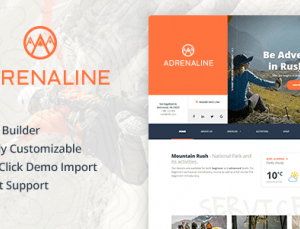 Adrenaline WordPress Theme 2.2.2