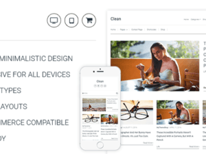 MyThemeShop Clean WordPress Theme 1.11.12