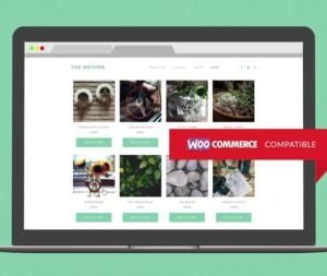 Themotion WordPress Theme 1.2.10