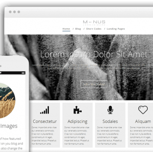 Thrive Minus Theme 2.11.1