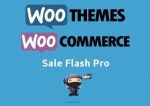 WooCommerce Sale Flash Pro 1.2.22