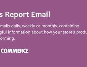 WooCommerce Sales Report Email 1.2.1