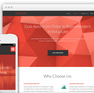Thrive Squared Theme 2.11.1